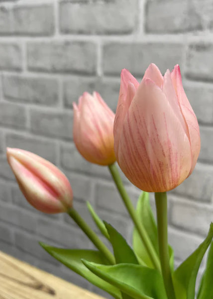 Mini Wild Pink Tulip Bundle - 10”