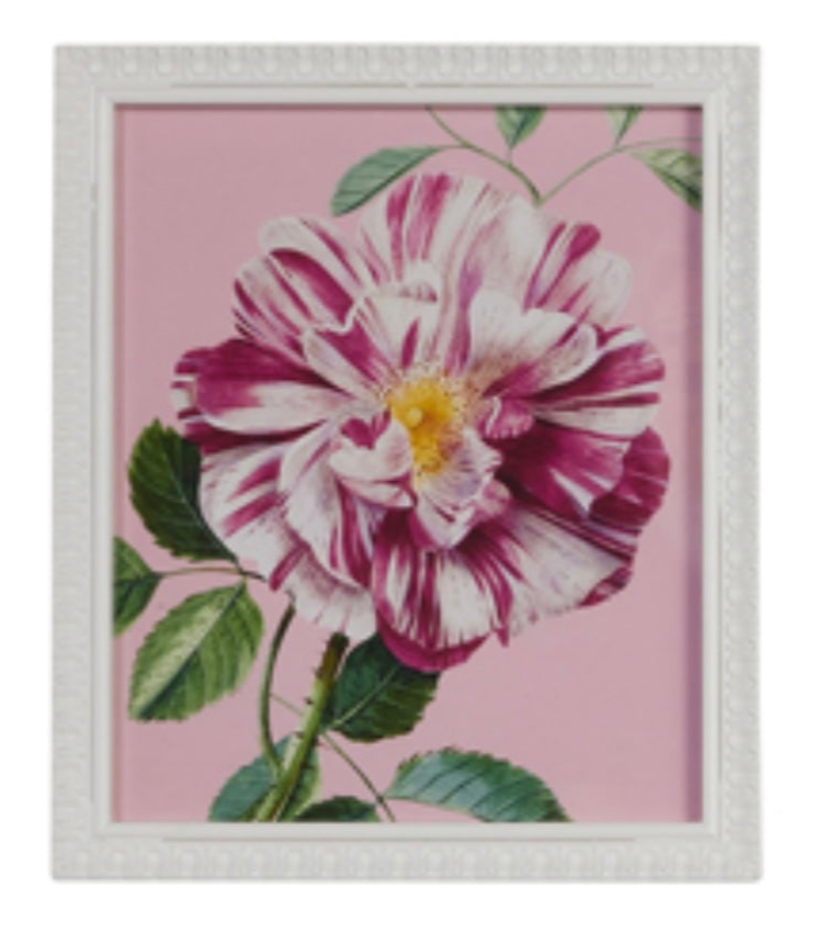 Pink Botanical Framed Wall Art