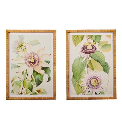 Mauve & Green Botanical Framed Print (2 styles)