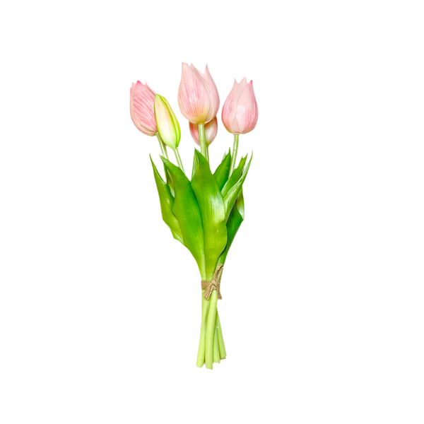 Mini Wild Pink Tulip Bundle - 10”