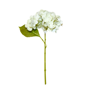 Cream & Green Hydrangea Stem