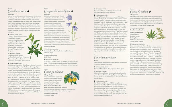 The Complete Language of Herbs Book