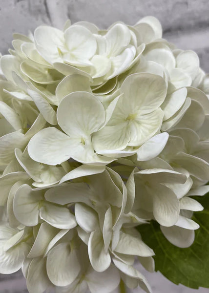 Cream & Green Hydrangea Stem