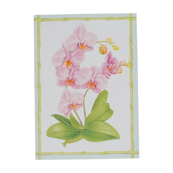 Orchid Conservatory Boxed Note Cards - 8 Cards and 8 Envelopes per Package by Caspari