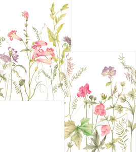 French Floral Boxed Notes