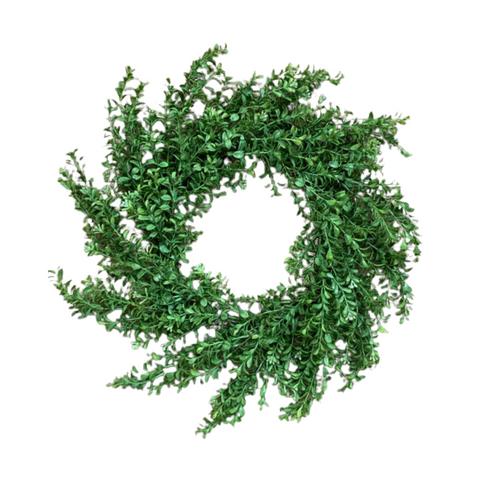 Boxwood Wreath - 24”