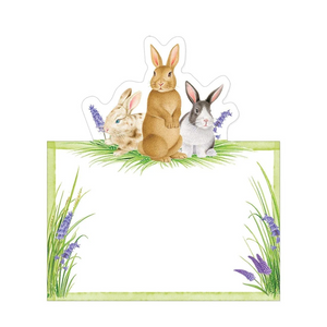 Bunnies and Daffodils Die-Cut Place Cards - 8 Per Package by Caspari