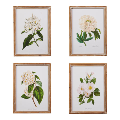 White Floral Framed Wall Art (4 styles)