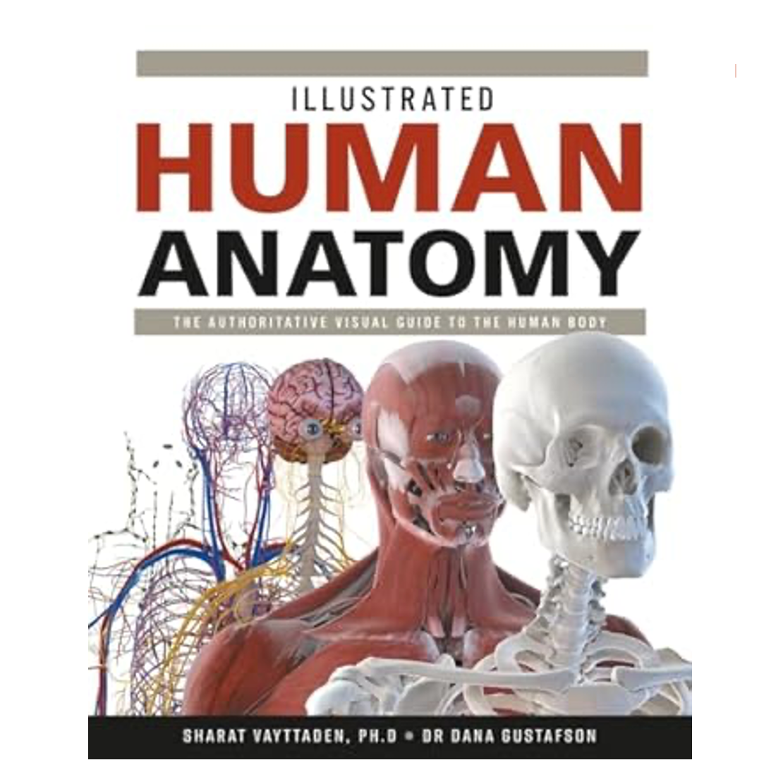 Illustrated Human Anatomy: The Authoritative Visual Guide to the Human Body Book