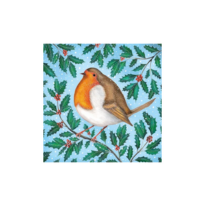 Museums & Galleries 5 Boxed Cards - Mister Robin