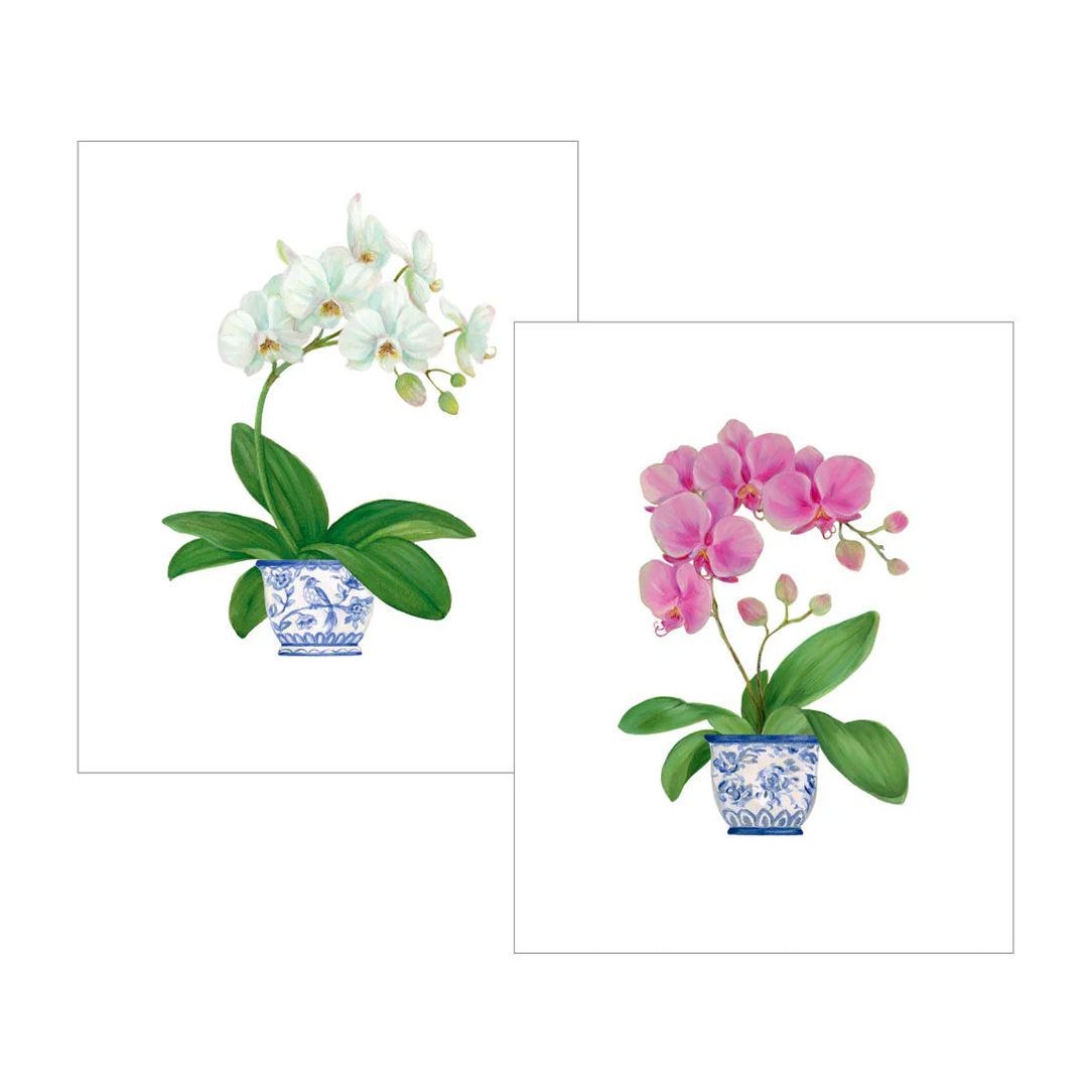 Potted Orchids Boxed Note Cards - 10 Cards and 10 Envelopes per Package by Caspari