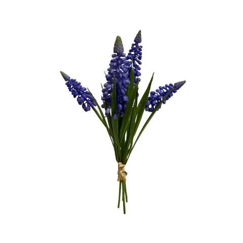 Purple Muscari Bundle