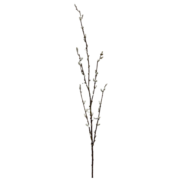 Pussy Willow Spray