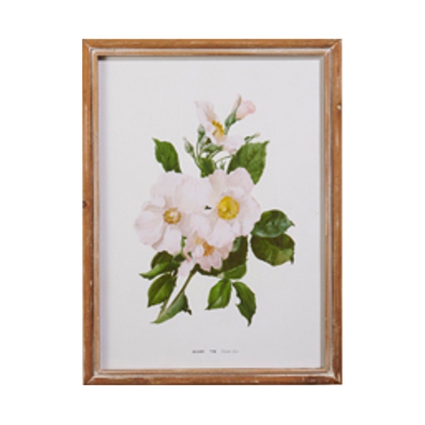 White Floral Framed Wall Art (4 styles)