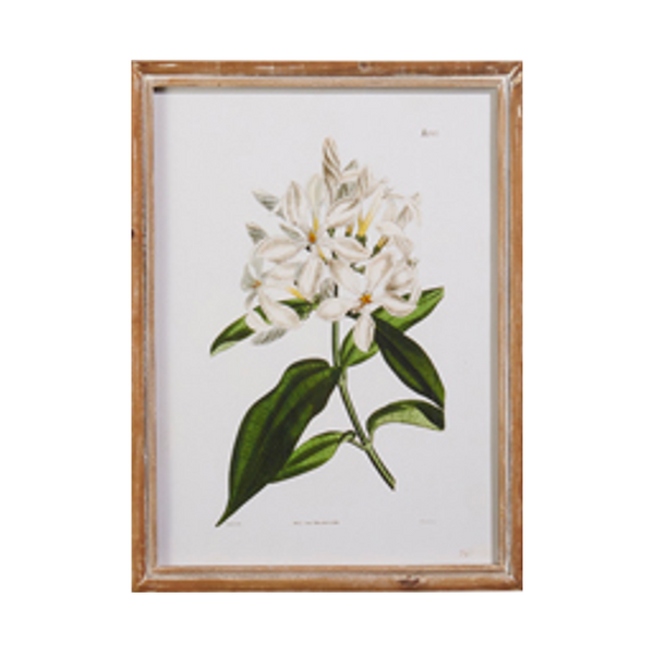 White Floral Framed Wall Art (4 styles)