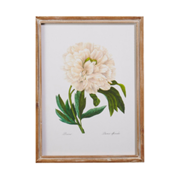 White Floral Framed Wall Art (4 styles)