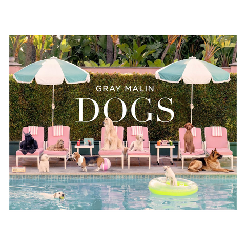 Gray Malin Dogs Book