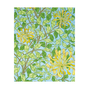 Honeysuckle Wallpaper Museums & Galleries Card