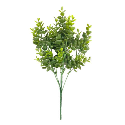 Boxwood Spray – Jacaranda Tree & Co